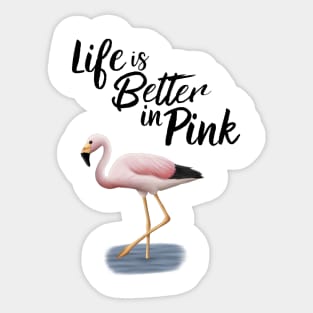 Flamingo Life Is Better In Pink Sticker
